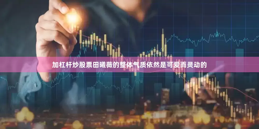 加杠杆炒股票田曦薇的整体气质依然是可爱而灵动的