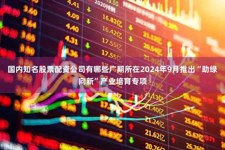 国内知名股票配资公司有哪些广期所在2024年9月推出“助绿向新”产业培育专项