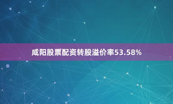 咸阳股票配资转股溢价率53.58%