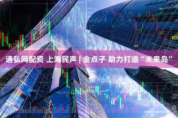 通弘网配资 上海民声 | 金点子 助力打造“未来岛”