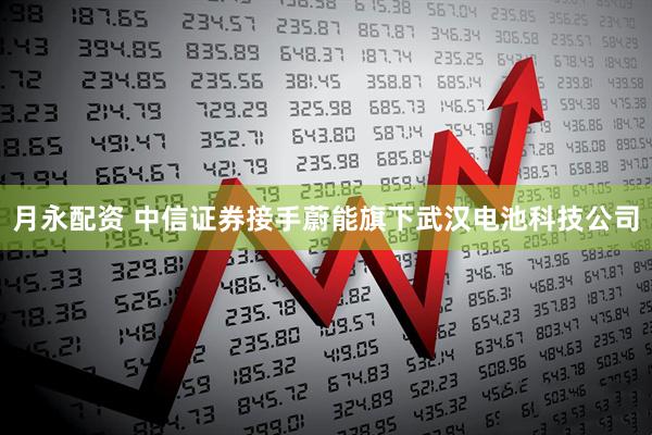 月永配资 中信证券接手蔚能旗下武汉电池科技公司