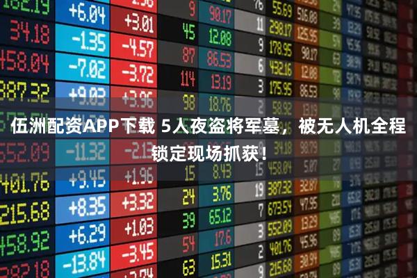 伍洲配资APP下载 5人夜盗将军墓，被无人机全程锁定现场抓获！